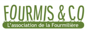 Logo association fourmis&co